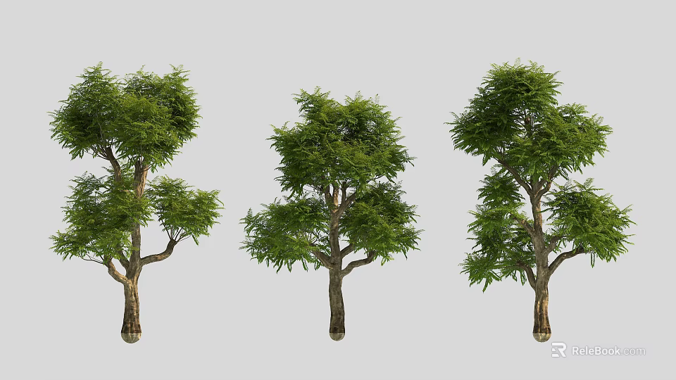 Three Deciduous Trees With Green Leaves And Brown Trunks In Various Shapes 3d model 