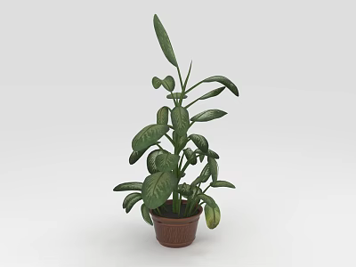Indoor Green Plant with Long Lush Leaves in Brown Ceramic Pot 3d model