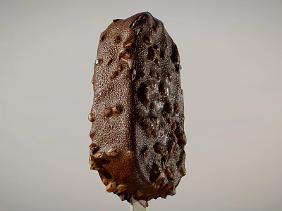 Crunchy Chocolate Coated Ice Cream Bar With Nutty Texture On Stick 3d model