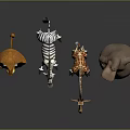 Cartoon Animal Characters Including Lion Zebra Giraffe And Pig Standing Together