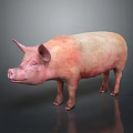 Pink and White Pig Standing on Gray Background With Reflection on Surface 3d model