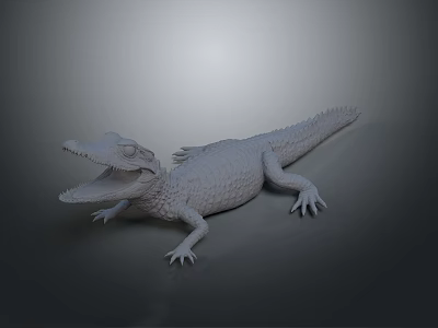 White Crocodile Reptile Model with Open Mouth and Detailed Texture on Gray Background 3d model