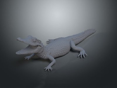 Crocodile Alligator Nile Crocodile carnivore reptile cold-blooded animal reptile 3d model