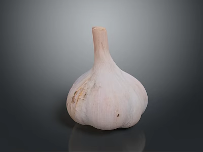 Fresh Single White Garlic Bulb With Smooth Texture On Dark Background As Cooking Ingredient 3d model