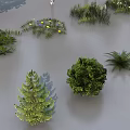 Diverse Plant Combinations With Various Trees Small Plants Arranged Neatly In Different Shapes Sizes