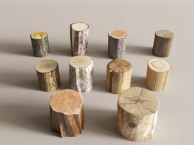 Natural Wooden Stumps Displaying Rustic Texture And Various Sizes For Home Decor 3d model