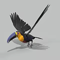 Flying Toucan With Colorful Beak Vibrant Yellow Throat And Black Wings In 3D Render