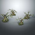 Natural Wood and Stone Decorative Sculptures with Twisted Branch Details and Textures