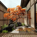Japanese Style Courtyard Garden With Orange Maple Tree Stones Lantern Pebble Path And Wooden Deck