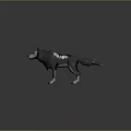 Realistic 3D Wolf Model With Gray Fur And White Markings Standing On Gray Background