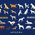 Various Decorative Dog Breed Illustrations With Different Postures For Wall Decor 3d model