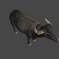 Game Movie Character 3D Model of Buffalo With Green Background and Realistic Details