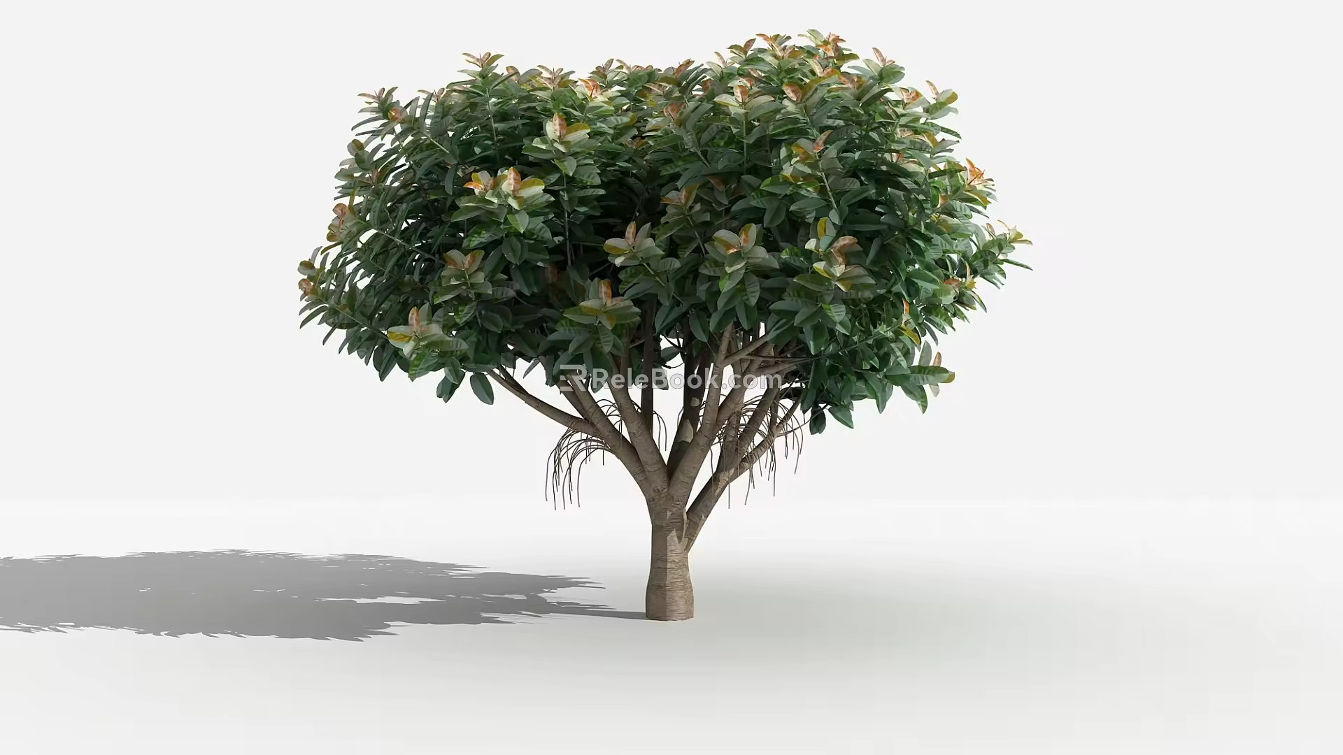 Modern Tree Banyan Tree 3d model