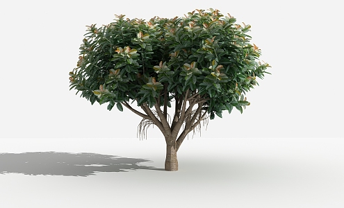 Modern Tree Banyan Tree 3d model