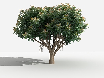 Modern Tree Banyan Tree 3d model