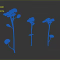 Three Green Plants With Round Leaves And Slender Stems In Growth State