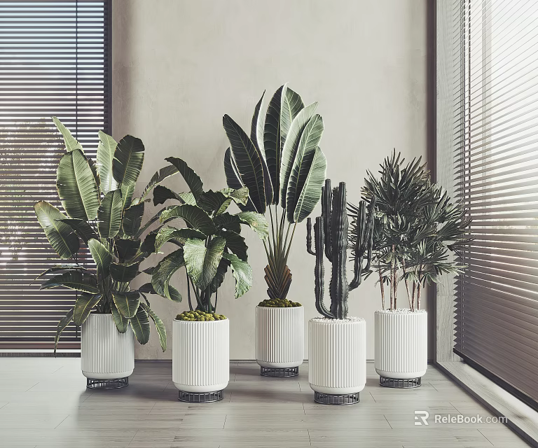 Various Bonsai Potted Plants in White Pots with Metal Bases for Minimalist Interiors 3d model 