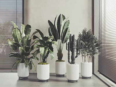 Various Bonsai Potted Plants in White Pots with Metal Bases for Minimalist Interiors 3d model