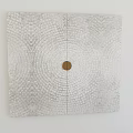 Modern White Door With Concentric Circle Pattern And Round Brass Handle