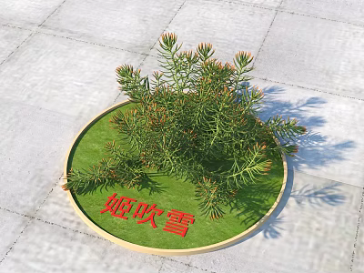 Decorative Shrub Planted On Round Green Mat With Fresh Green Foliage On Outdoor Ground 3d model