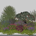 Diverse Garden Shrubs Featuring Pink Purple Flowers And Lush Green Foliage