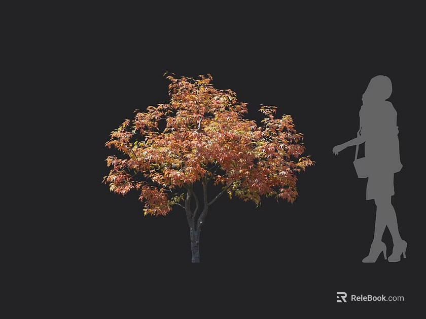 Autumn Deciduous Arbor With Orange Red Leaves And Female Silhouette 3d model 