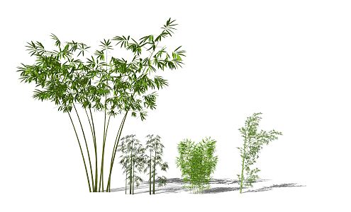 Modern bamboo 3d model