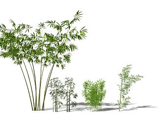 Modern bamboo 3d model