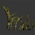 Various Form Cactus and Succulent Plants 3D Rendered Display with Different Shapes on Gray Surface