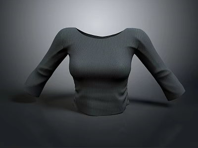 Gray Knitted Top with Three Quarter Sleeves Round Neck and Fitted Design for Daily Wear 3d model