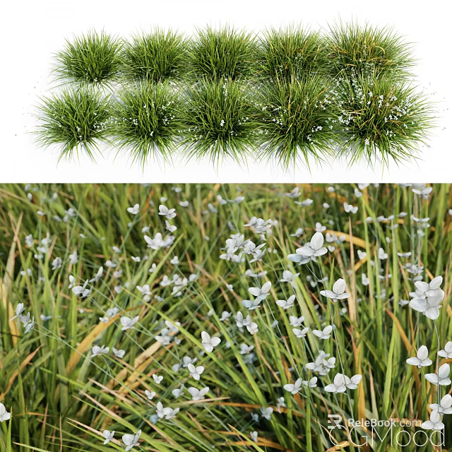 Beautiful Lush Green Grass With Delicate White Flowers In Natural Meadow Scene 3d model 