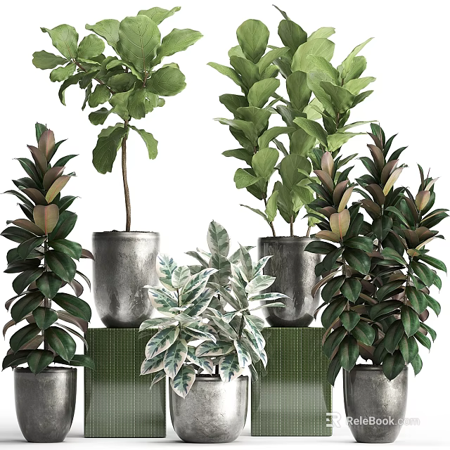Decorative Ornament Set With Green Potted Plants And Metal Planters For Indoor Decoration 3d model 