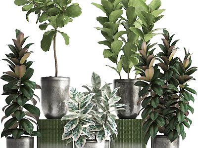 Decorative Ornament Set With Green Potted Plants And Metal Planters For Indoor Decoration 3d model