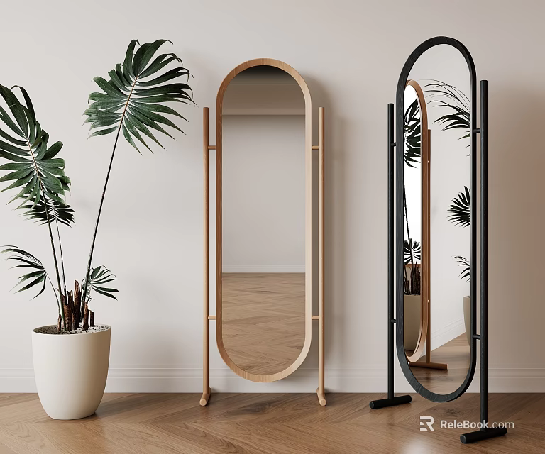 Floor Mirrors With Different Frames And Potted Plant In Room 3d model