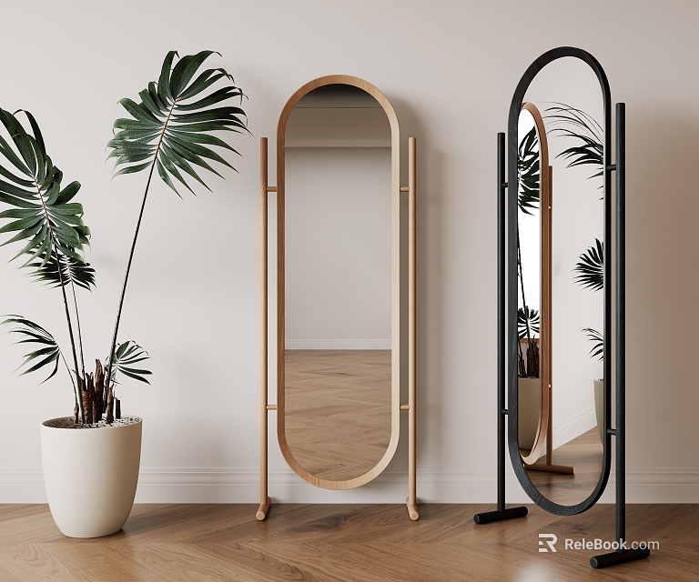 Floor Mirrors With Different Frames And Potted Plant In Room 3d model 