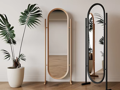 Floor Mirrors With Different Frames And Potted Plant In Room 3d model