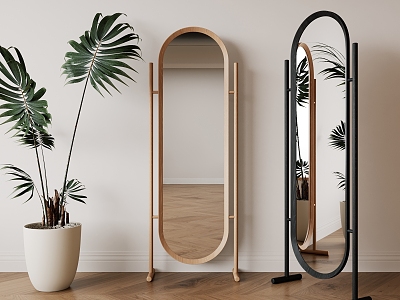 Silent Mirror Solid Wood Curved Floor Full-length Mirror 3d model