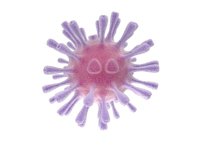 modern human virus 3d model