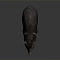Realistic 3D Rendered Wild Boar Model With Detailed Fur And Standing Pose 3d model