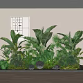 Indoor Plant Combination With Tropical Green Plants Decorative Stones Wall Artwork And Wooden Floor