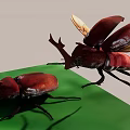 Red Horned Flying Beetles with Spread Wings and One on Green Surface