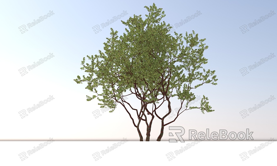 Landscape Trees and Shrubs model