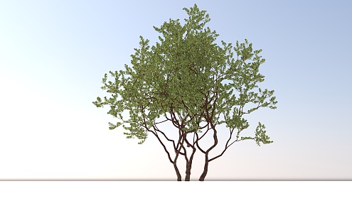 Landscape Trees and Shrubs 3d model