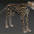 Leopard Patterned Reptile Standing On Green Grass With Trees In Background 3d model