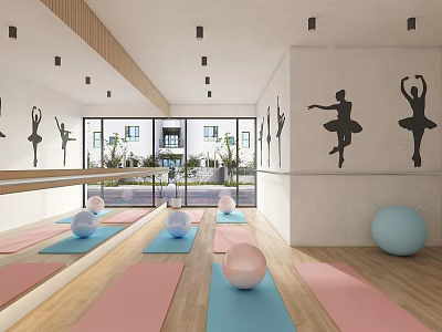 Yoga Studio Interior With Colorful Mats Balls And Ballet Silhouettes 3d model