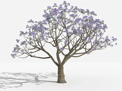 Lush Purple Flowering Arbor Tree With Brown Trunk And Spreading Branches 3d model