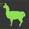 Cute Llama With Light Brown And White Fur Standing On Gray Background