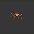 Reddish Brown Insect With Distinctive Patterns Long Antennae Legs 3D Rendered Isolated Dark Background 3d model