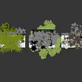 Modern Green Plant Decorative Arrangement With Mossy Rocks Small Trees And Natural Stones