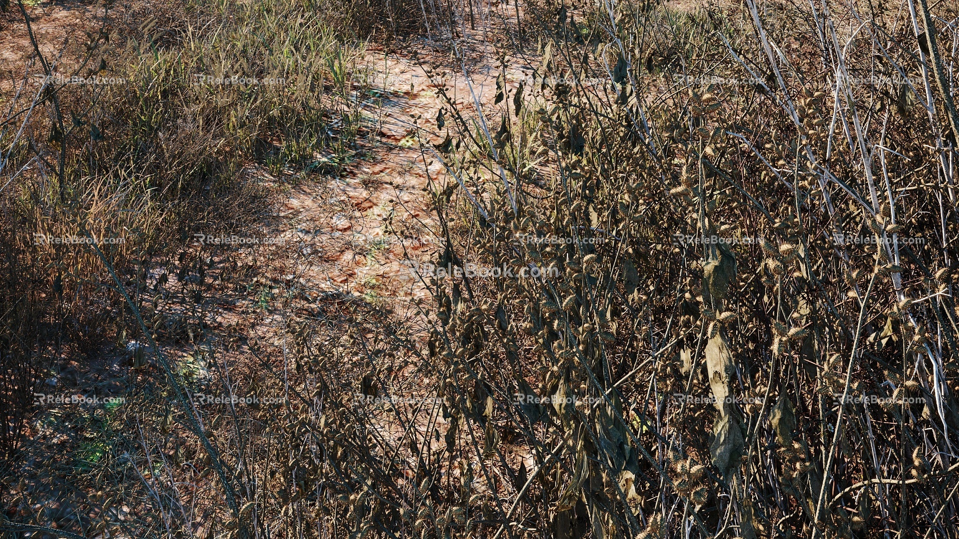 Modern Meadow Autumn Landscape Outdoor Path Dry Grass 3d model